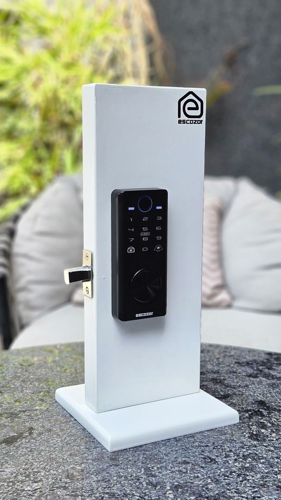 DL02 Smart Dead Lock