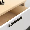 PL02 Horizontal Smart Furniture Lock