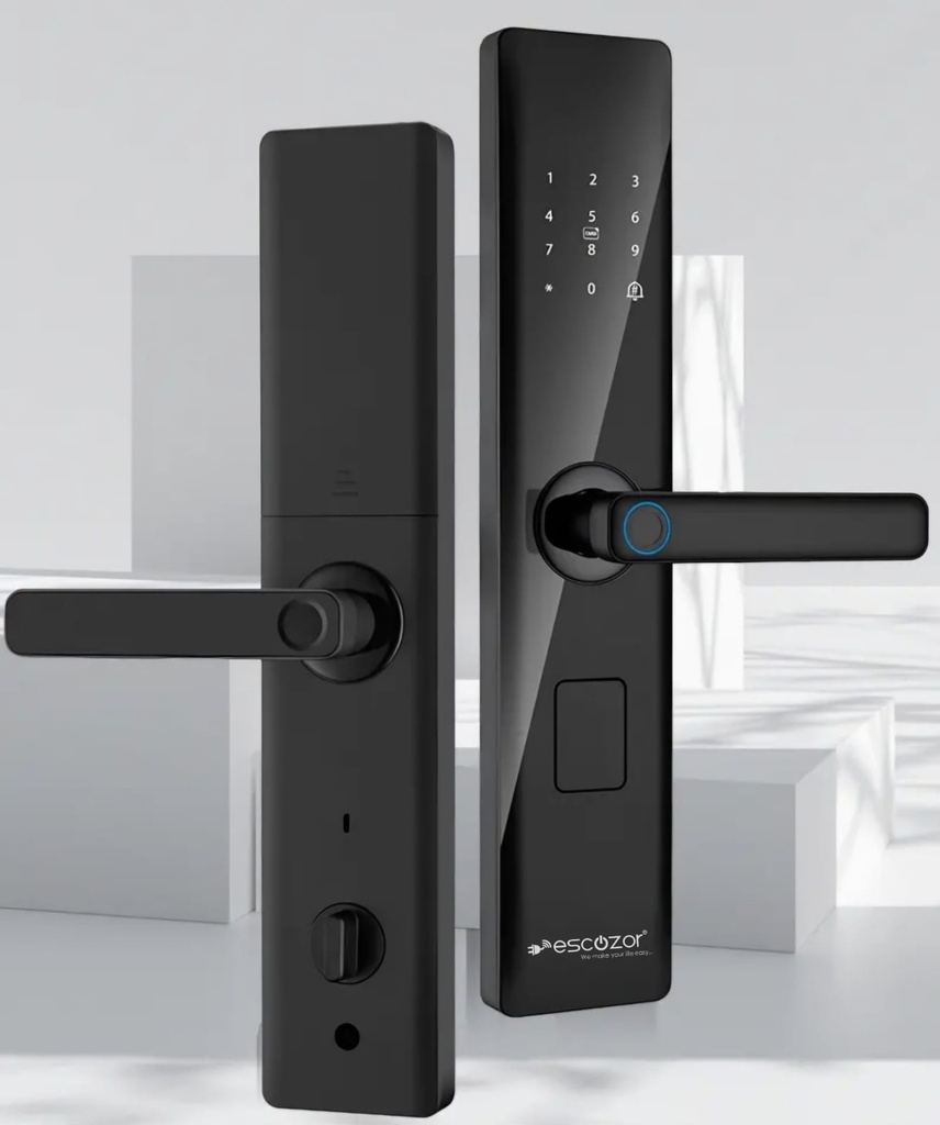 H201 Smart Door Lock (Black)