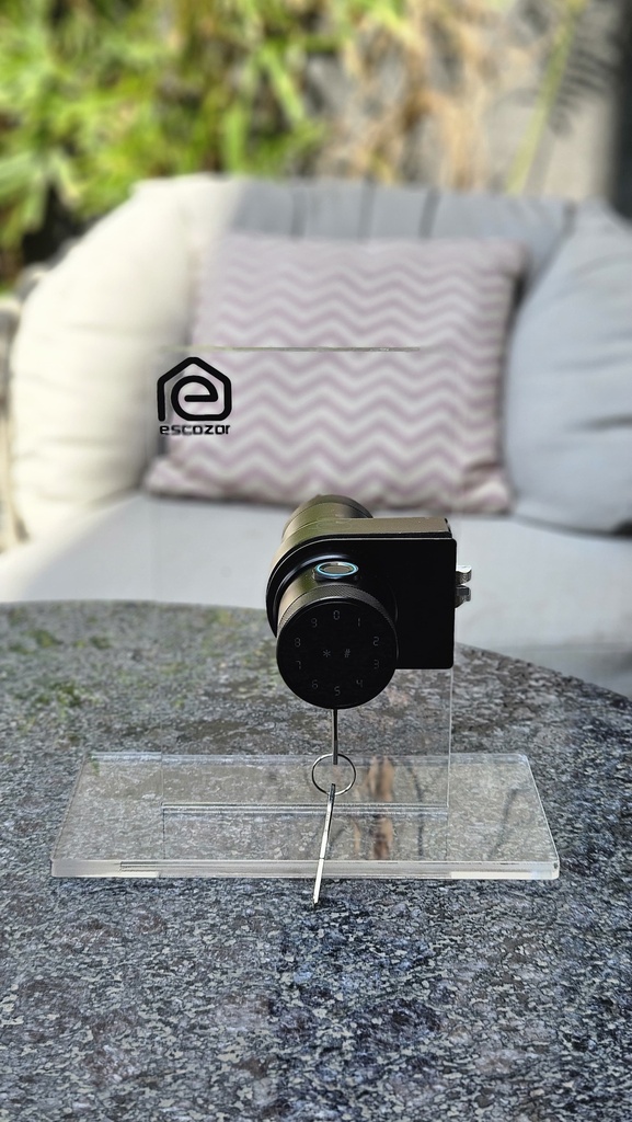 RFK02 Smart Glass Door Lock