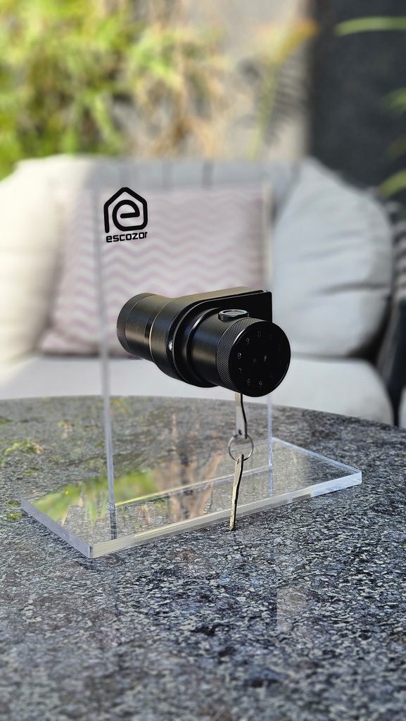 RFK02 Smart Glass Door Lock