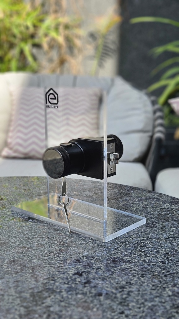 RFK02 Smart Glass Door Lock