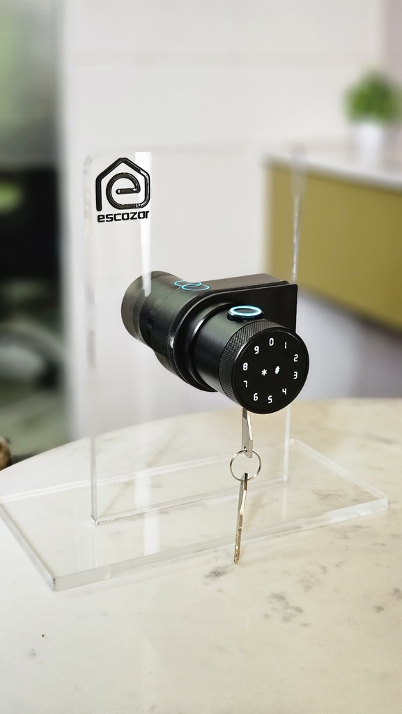 RFK02 Smart Glass Door Lock