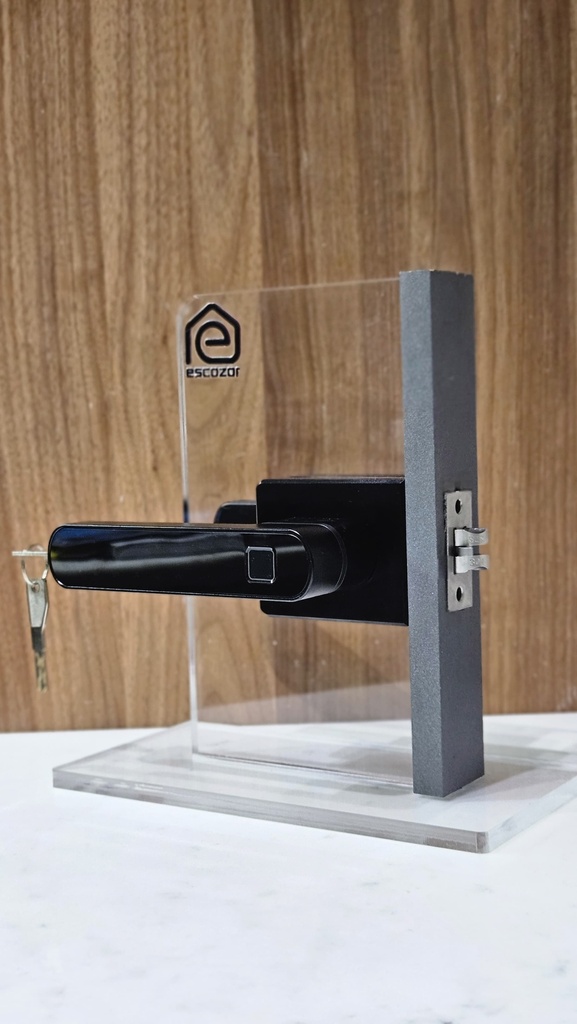 MFK02 Smart Glass Door Lock